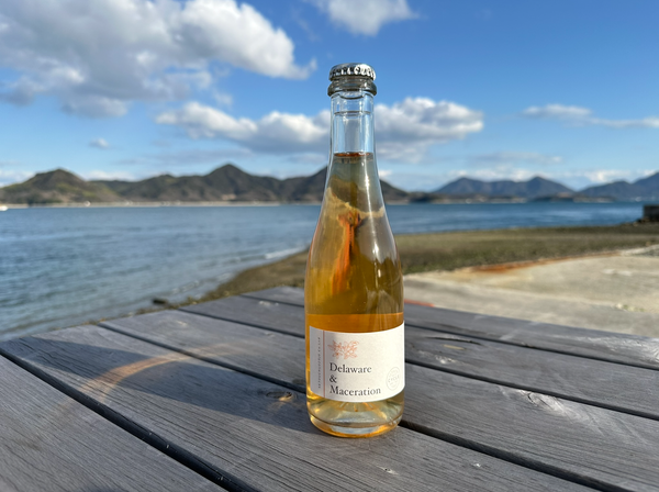 デラウェア&マセラシオン【ハーフボトル商品】