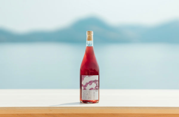 2022 加西 ゴールデンベリーA